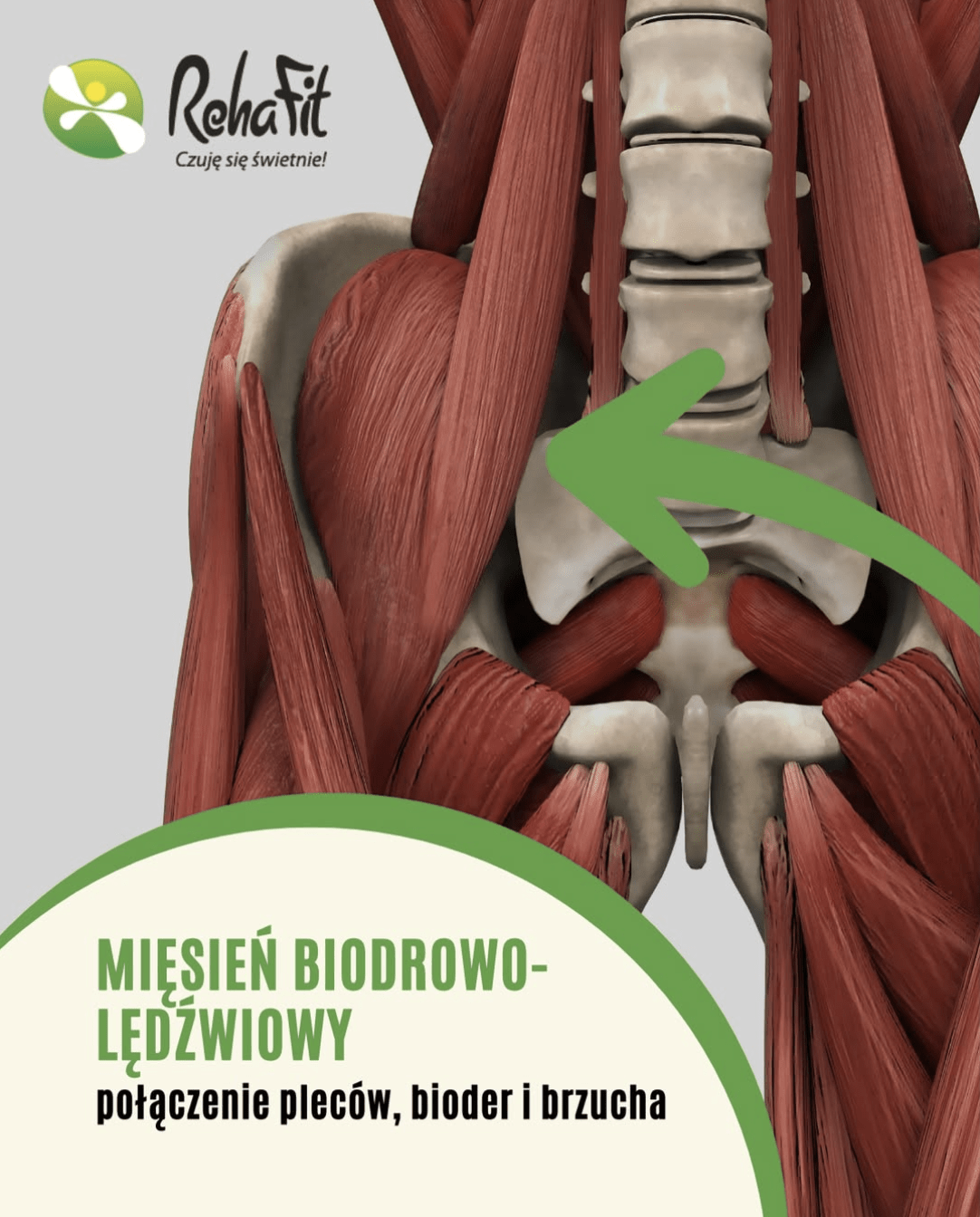 mięsień biodrowo-lędźwiowy